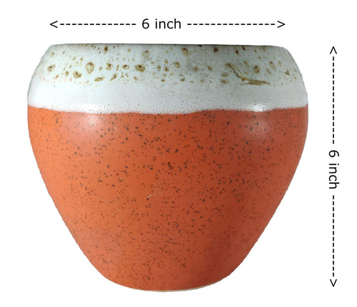 UrbanRoots Big Apple Ceramic Pot (6 inch) (Orange)