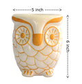 UrbanRoots Ceramic Big Owl Planter (5 inch) (White)