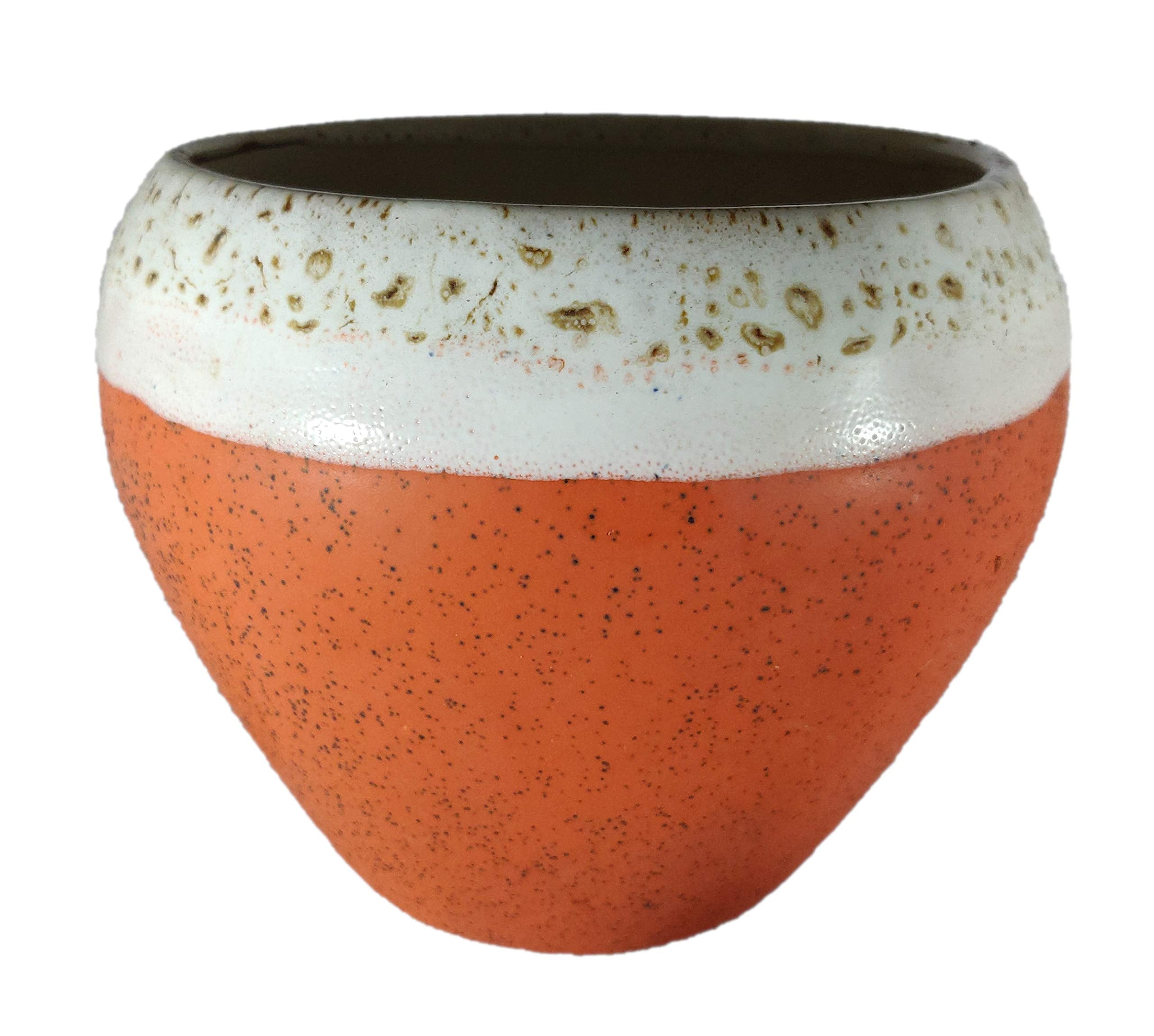 UrbanRoots Big Apple Ceramic Pot (6 inch) (Orange)