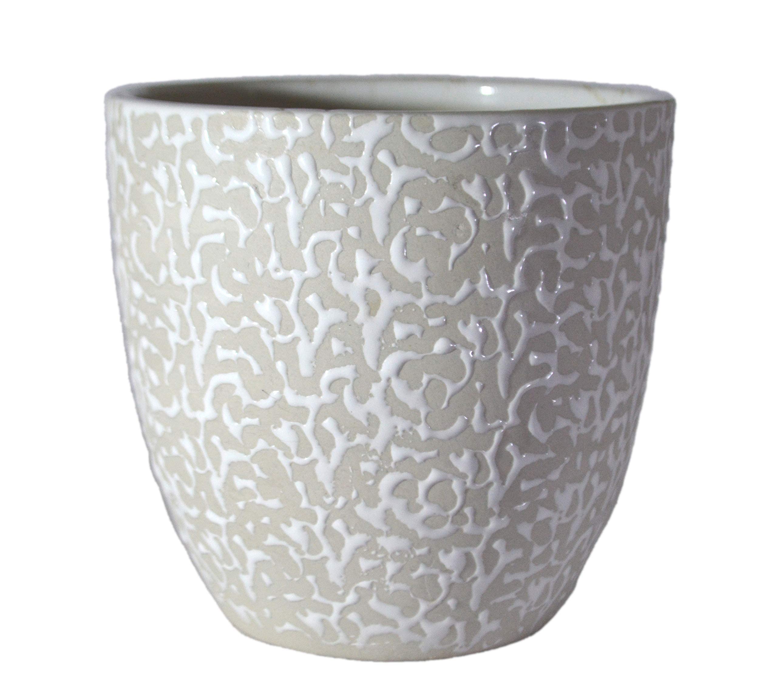 UrbanRoots Textured Egg Ceramic Pot (6.5 inch) (White)