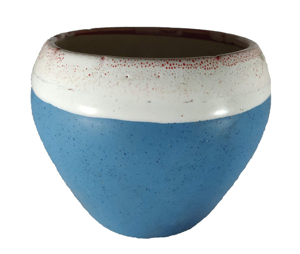 UrbanRoots Big Apple Ceramic Pot (6 inch) (Blue)