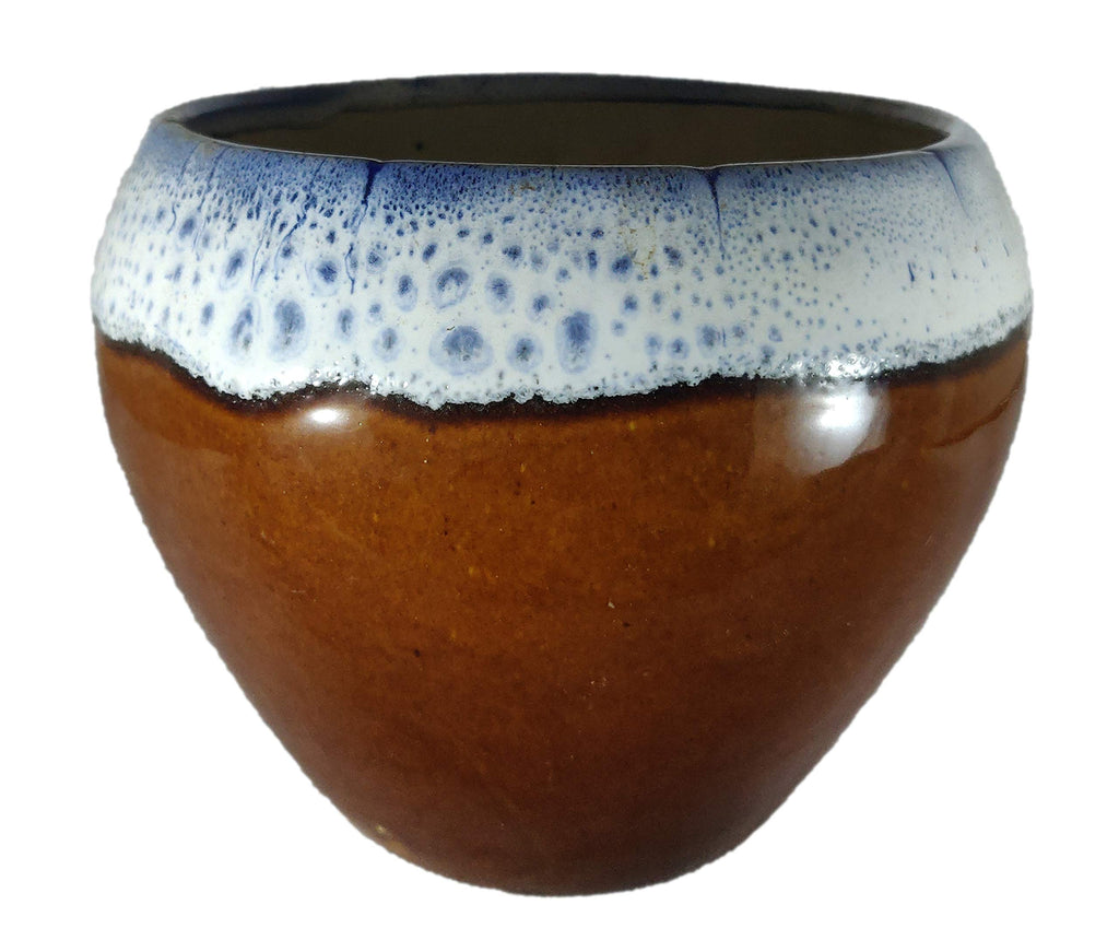 UrbanRoots Big Apple Ceramic Pot (6 inch) (Brown)