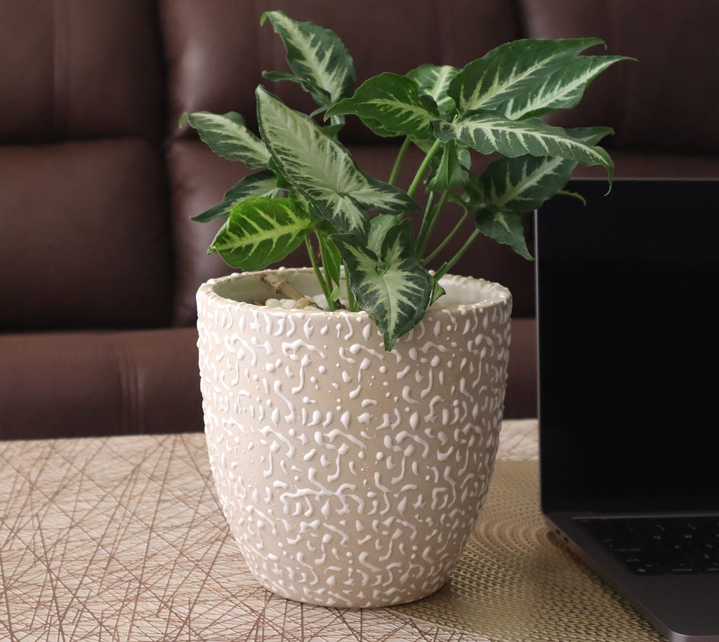 UrbanRoots Textured Egg Ceramic Pot (6.5 inch) (White)