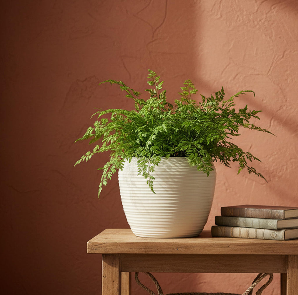 UrbanRoots Ribbed Apple Ceramic Pot (Big) (Ivory)