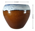 UrbanRoots Big Apple Ceramic Pot (6 inch) (Brown)