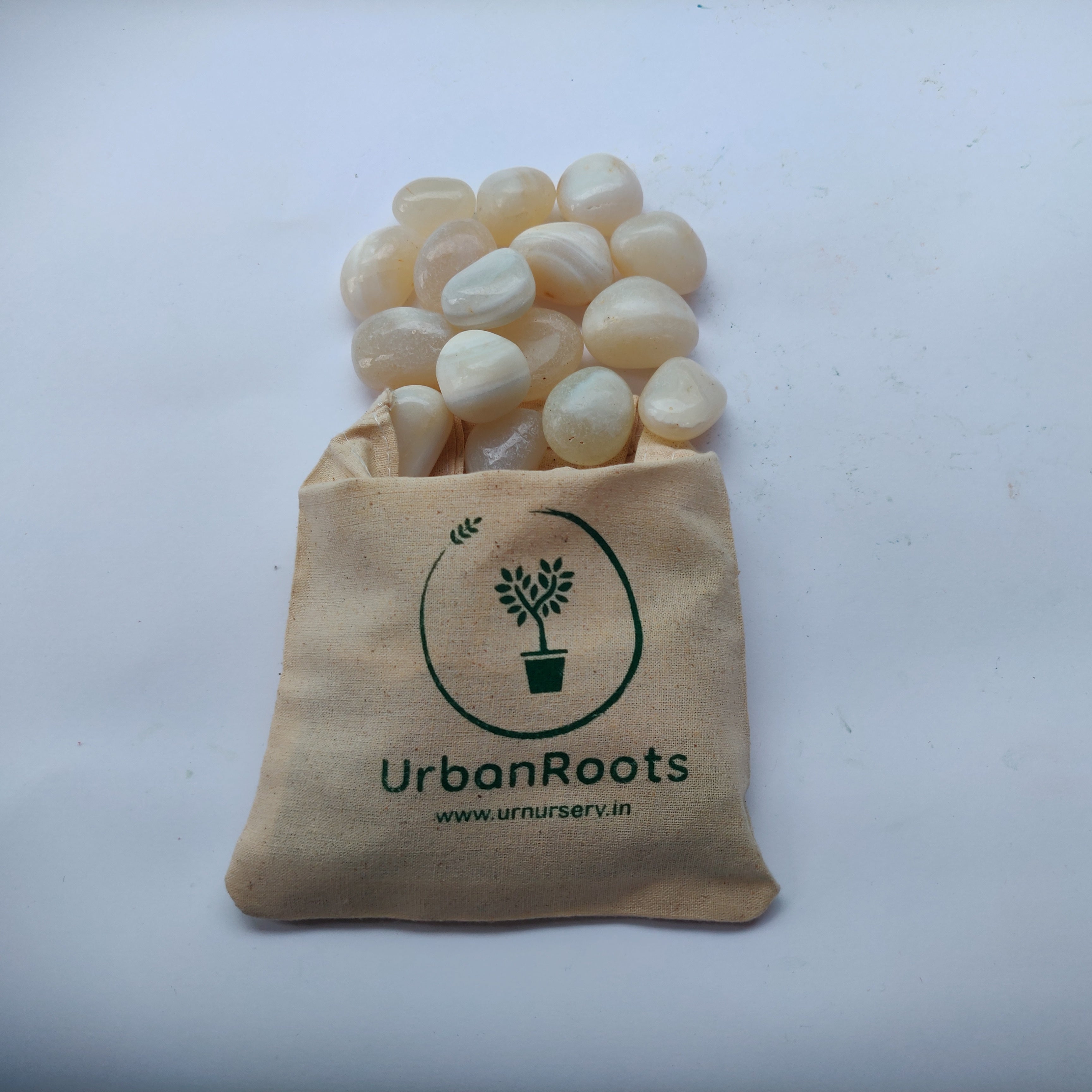 UrbanRoots Onyx Stone White